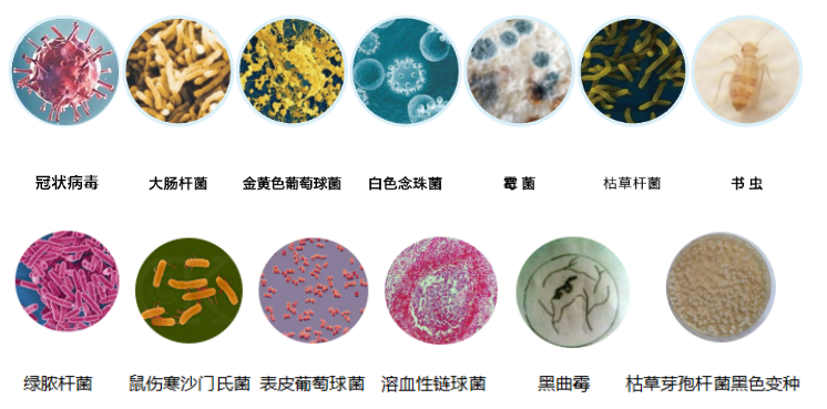 汉龙公司紫外线档案消毒柜交付用户单位使用